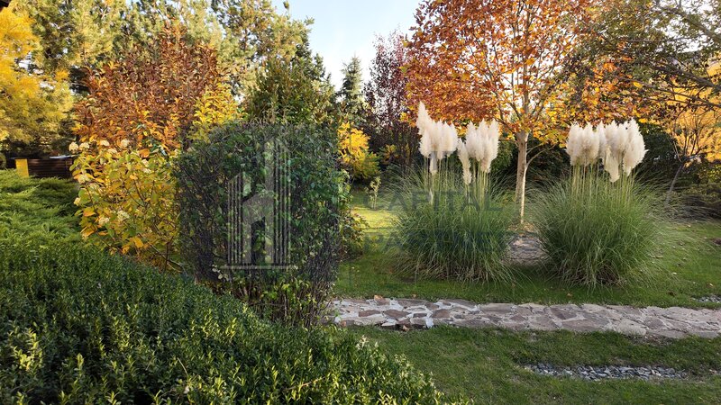 Snagov, vila individuala, curte amenajata, prosumator 8 kw