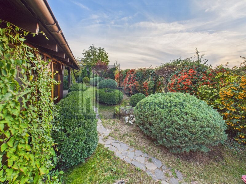 Snagov, vila individuala, curte amenajata, prosumator 8 kw